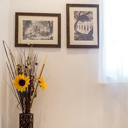 דירה Rodos House *
